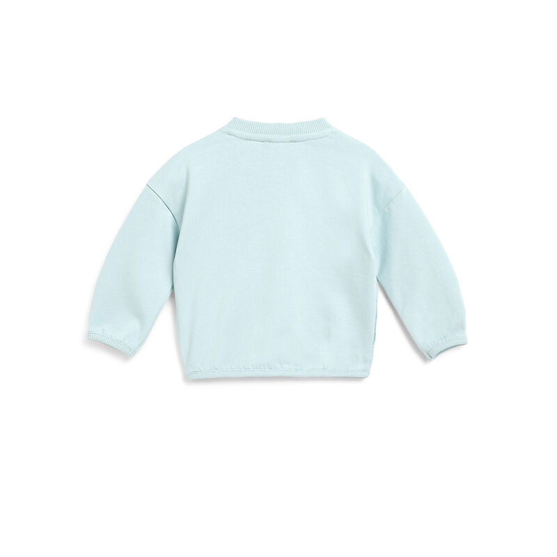 Boys Light Green Printed Sweatshirt image number 1